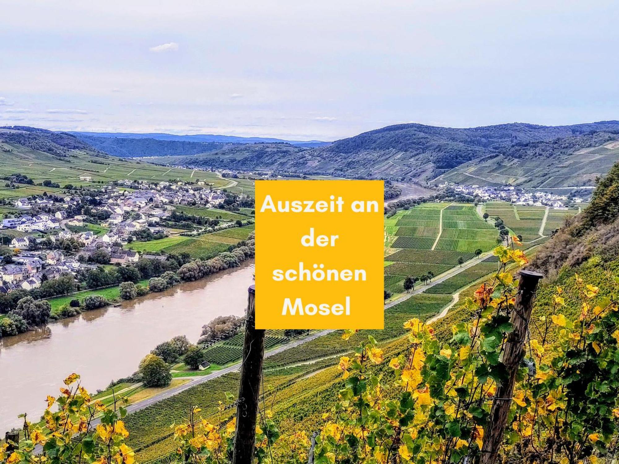 Komfort Fewo L Moselstay L Maximal 4 Personen Und Baby I Brauneberg Mosel I Wifi I Ngoại thất bức ảnh